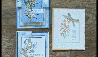 3 Easy Fun Fold Cards with Delicate Dreams (Pop-Out, Card-in-a-Card & Z Fold)